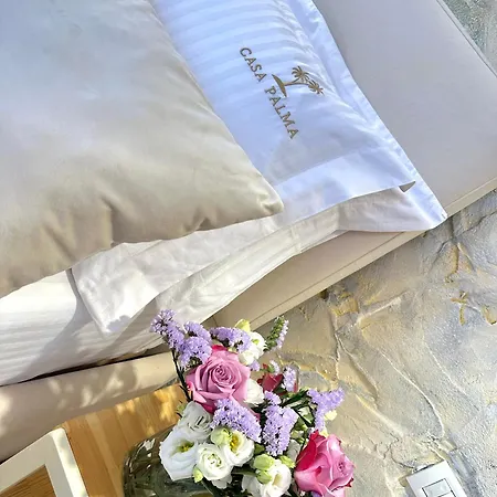 Casa Palma Boutique ホテル
