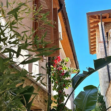 Casa Palma Boutique *