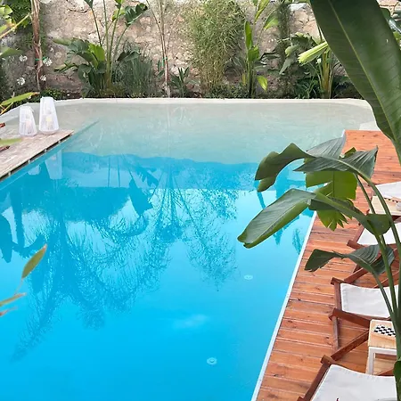 Casa Palma Boutique Vlorë