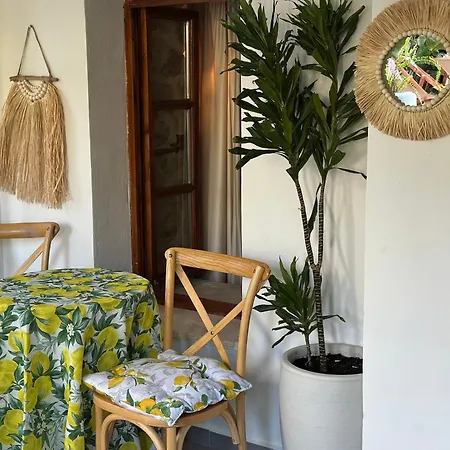 Casa Palma Boutique Szálloda Vlora