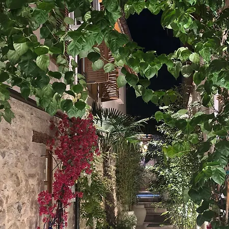 Casa Palma Boutique * Wlora