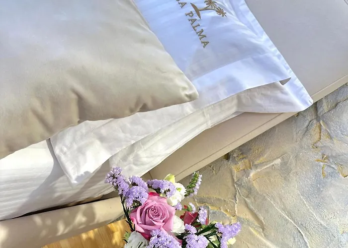 Casa Palma Boutique 酒店