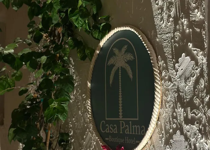 酒店 Casa Palma Boutique Vlorë